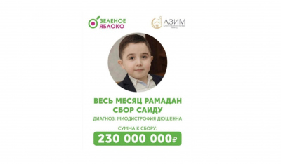 273 000 рублей собранные в ящиках супермаркетов "Зелёное яблоко", БФ «АЗИМ» передал на лечение Саидика нуждающегося в дорогостоящем препарате. Сбор средств для его дальнейшей помощи продолжается.